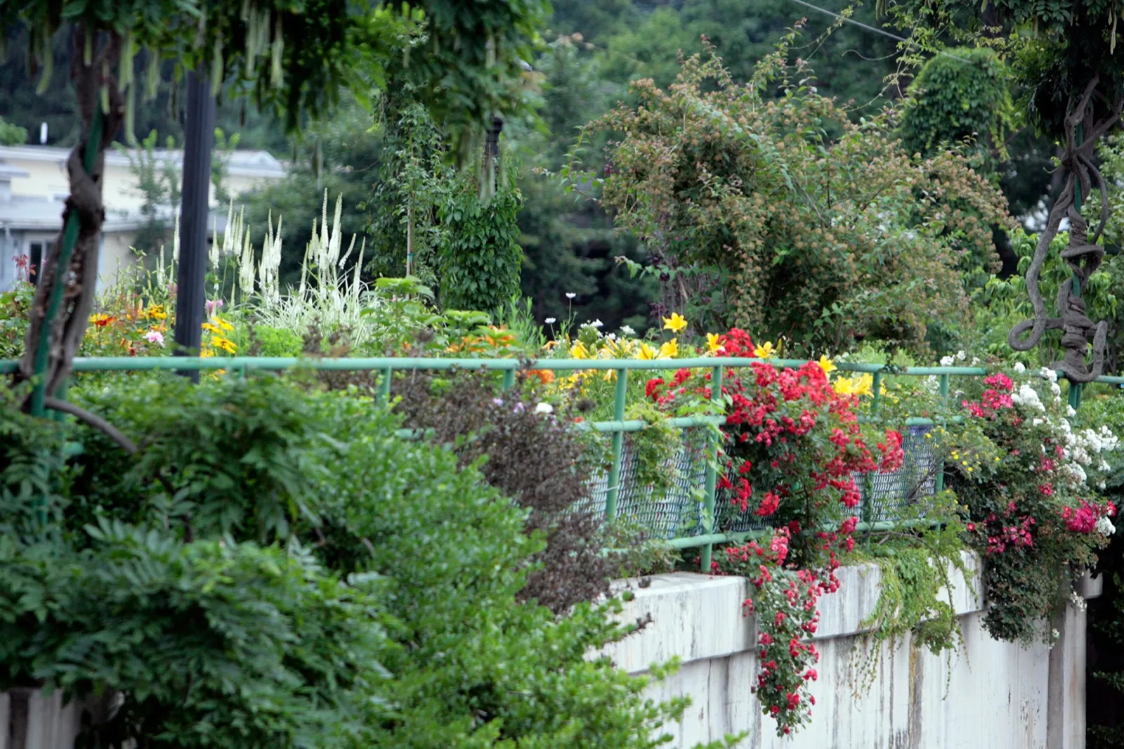 Balkónová výzdoba - Inšpirácia