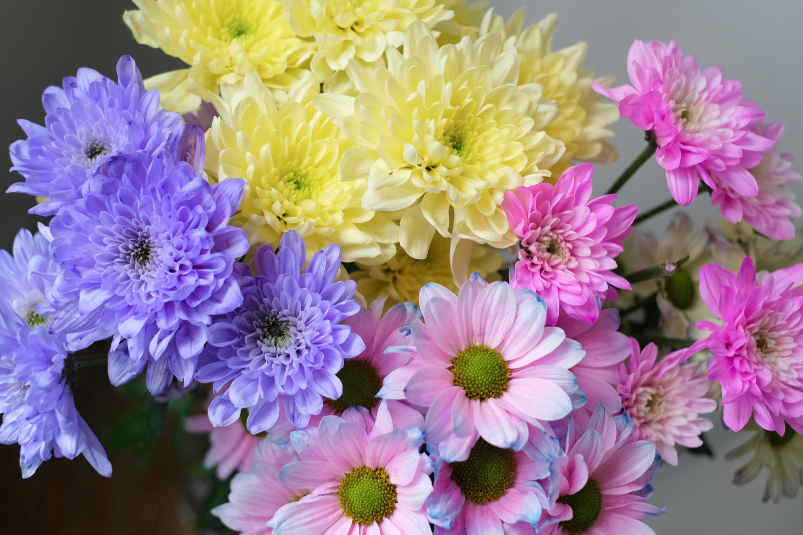 Kvety na Deň Matiek 2026: Najkrajšie Kytice a Tipy na Darčeky